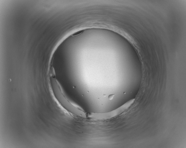 X0000063451536200602101635