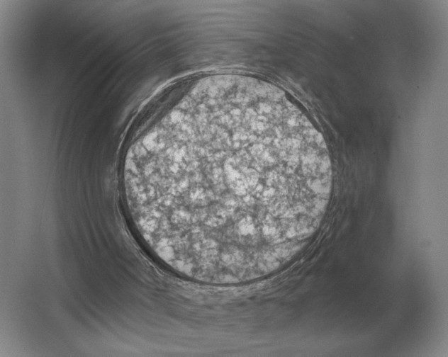 X0000063450002200602171911