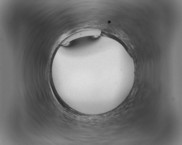 X0000063450003200602171911