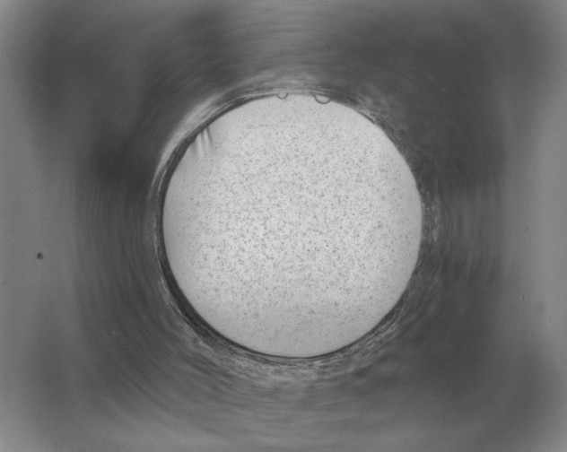 X0000063450004200602171911