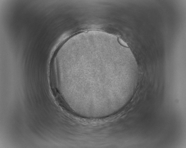 X0000063450006200602171911