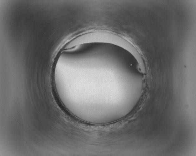 X0000063450007200602171911