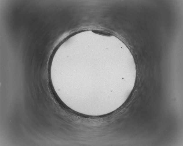 X0000063450008200602171911