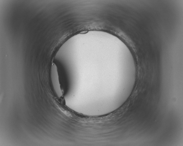 X0000063450009200602171911