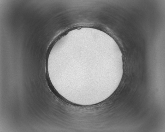 X0000063450011200602171911