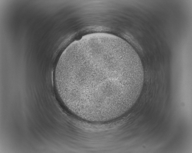 X0000063450014200602171911