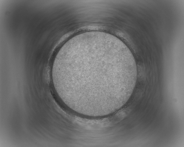 X0000063450016200602171911