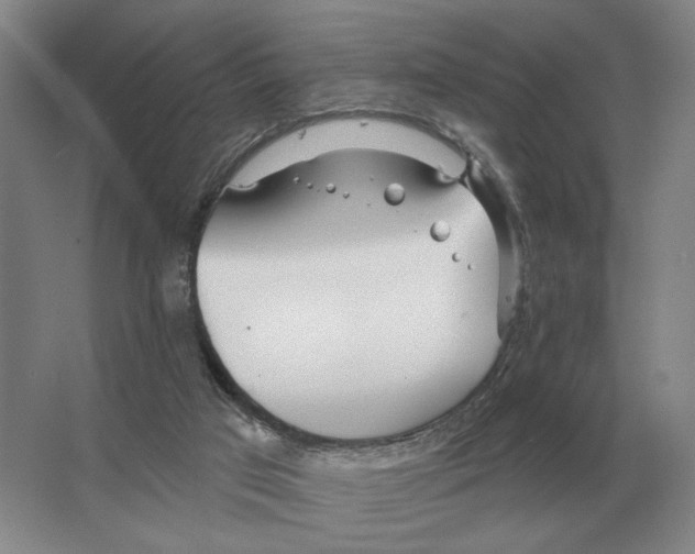 X0000063450017200602171911