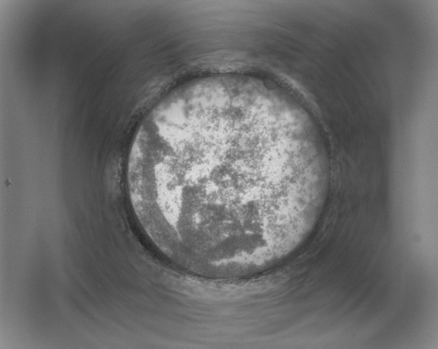 X0000063450018200602171911