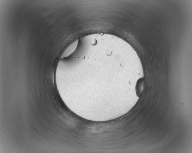 X0000063450021200602171911