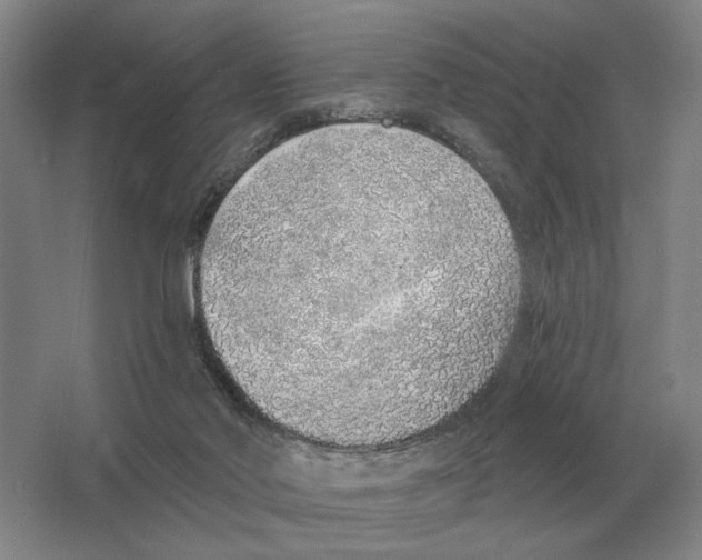 X0000063450022200602171911