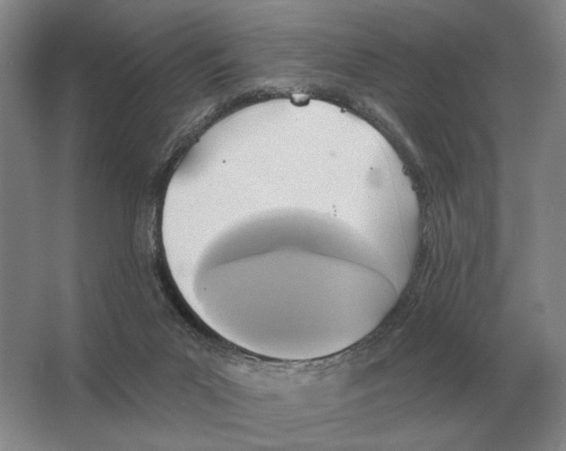 X0000063450023200602171911