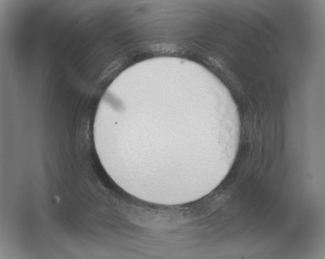 X0000063450024200602171911