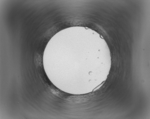 X0000063450025200602171910