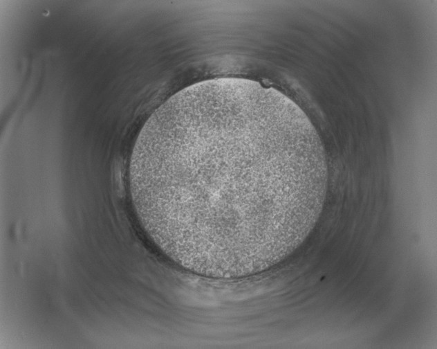 X0000063450026200602171910