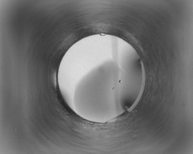 X0000063450027200602171910