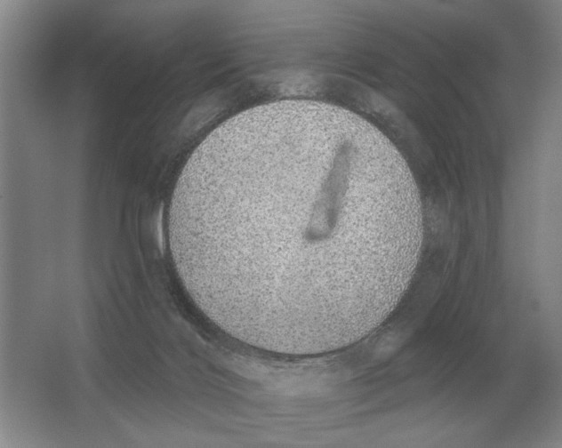 X0000063450028200602171910