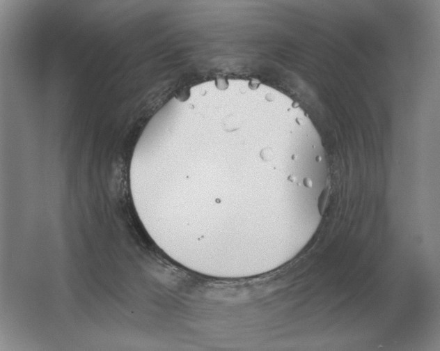 X0000063450029200602171910