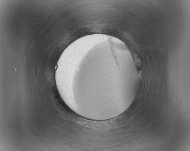 X0000063450031200602171910