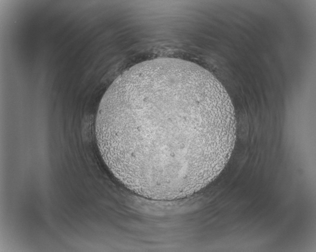 X0000063450034200602171910