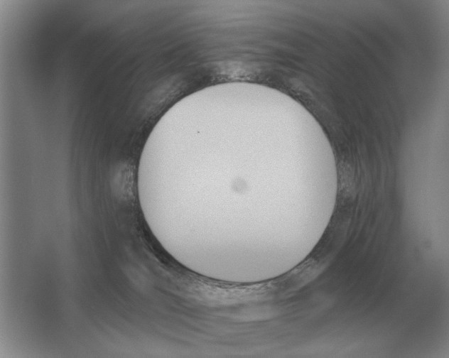 X0000063450036200602171910