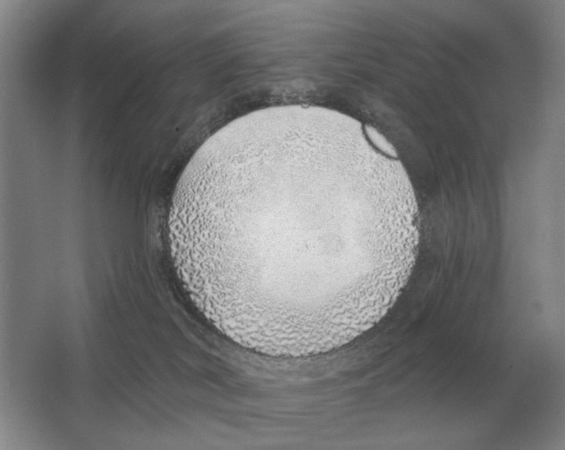 X0000063450038200602171910