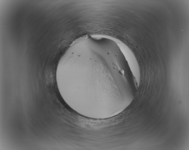 X0000063450039200602171910