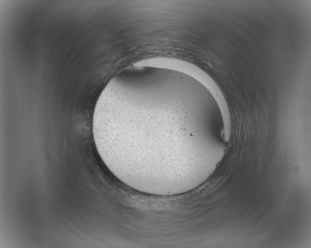 X0000063450040200602171910