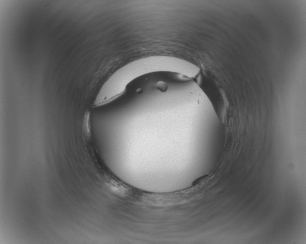 X0000063450041200602171910