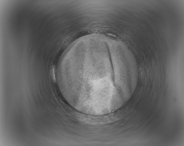 X0000063450042200602171910