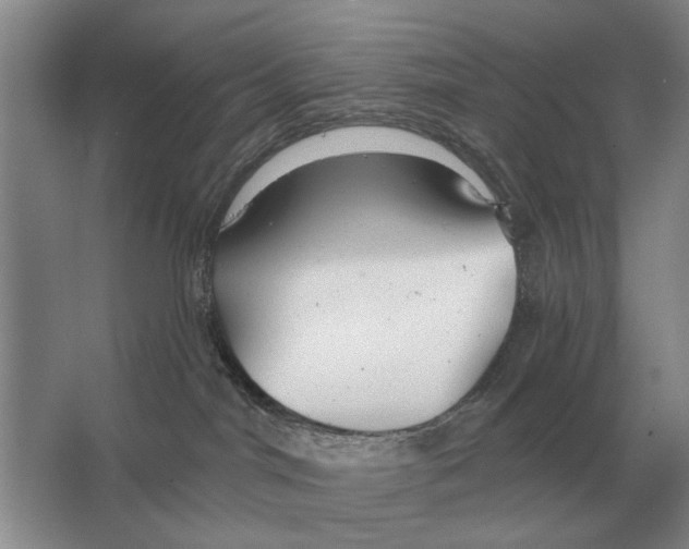 X0000063450044200602171910