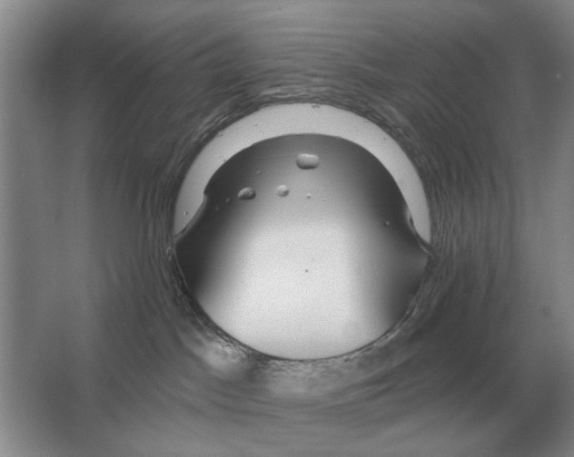 X0000063450045200602171910