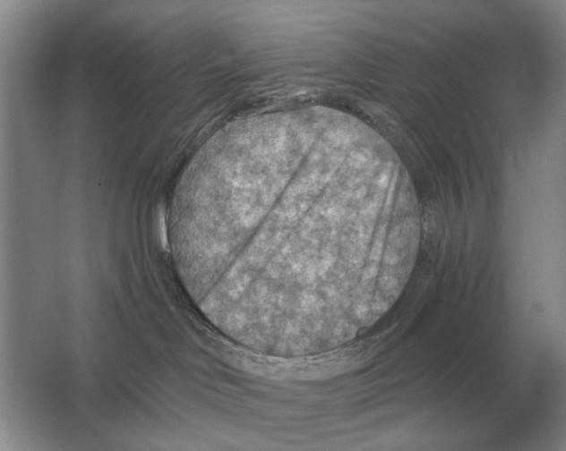 X0000063450046200602171910