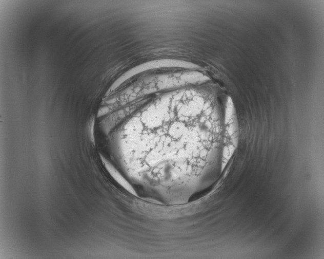 X0000063450047200602171910