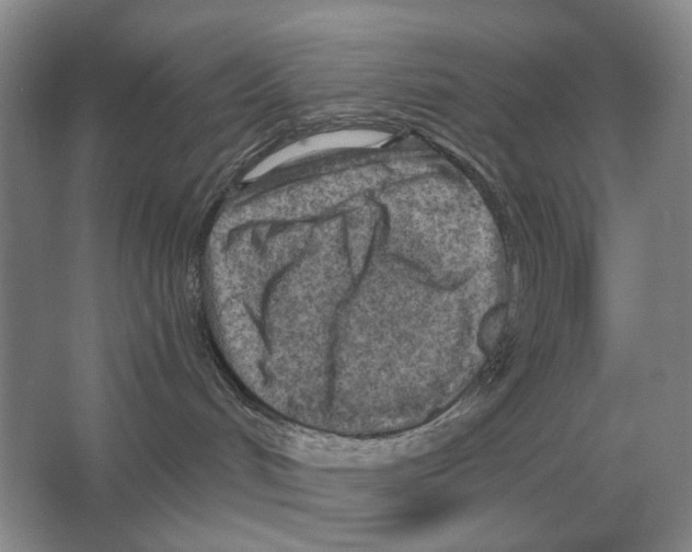 X0000063450048200602171910