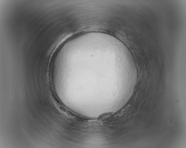 X0000063450050200602171909