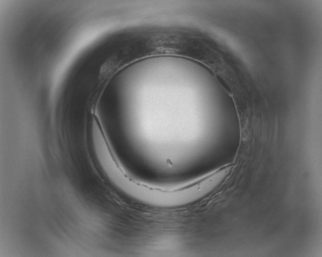 X0000063450052200602171909