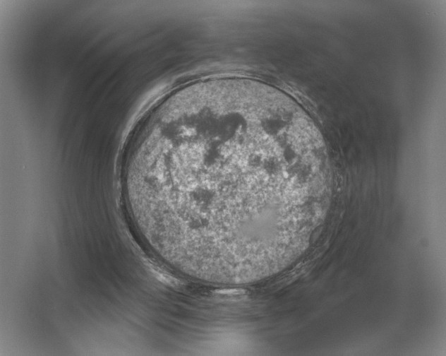 X0000063450053200602171909