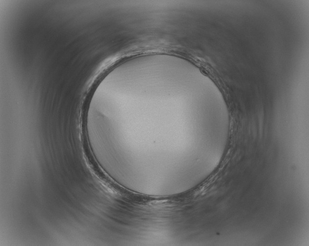 X0000063450054200602171909