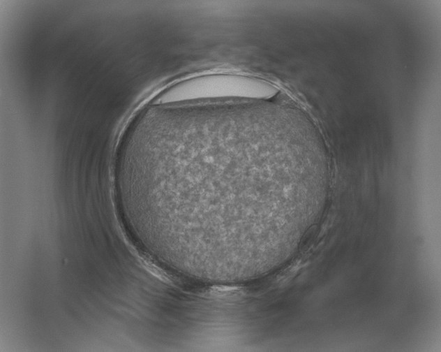 X0000063450055200602171909