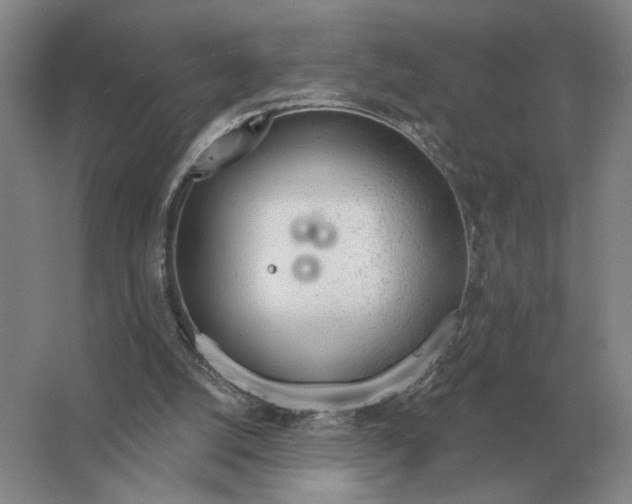 X0000063450056200602171909