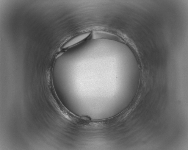 X0000063450057200602171909