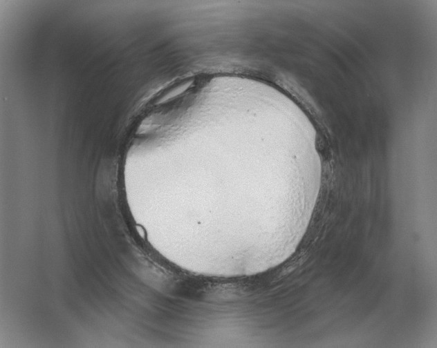 X0000063450058200602171909