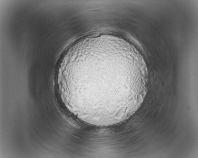 X0000063450059200602171909