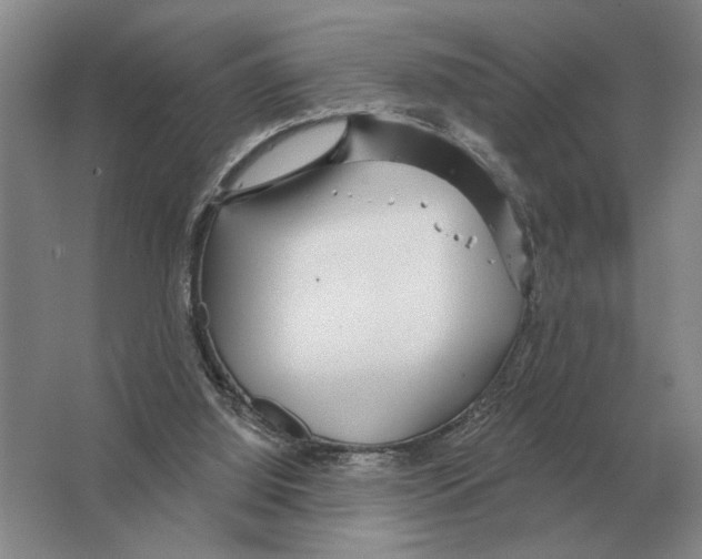 X0000063450060200602171909