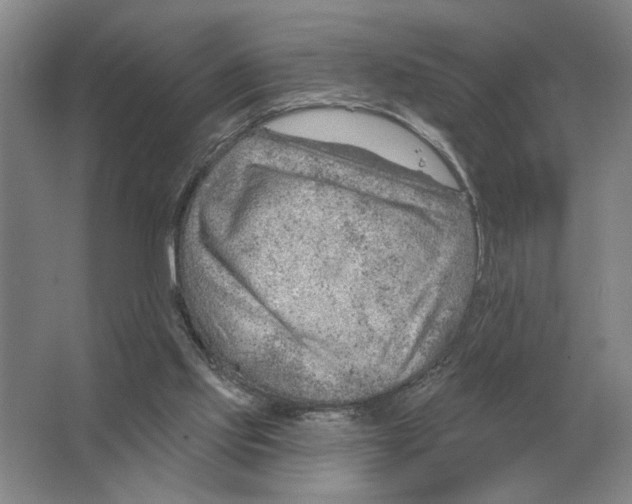 X0000063450061200602171909