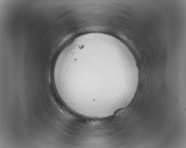 X0000063450062200602171909