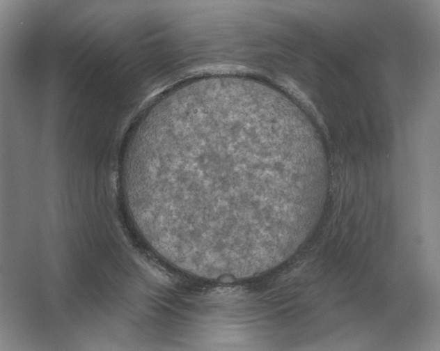 X0000063450063200602171909