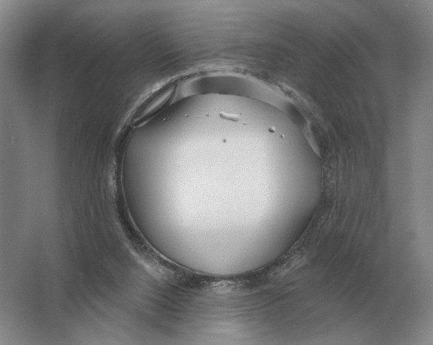 X0000063450064200602171909