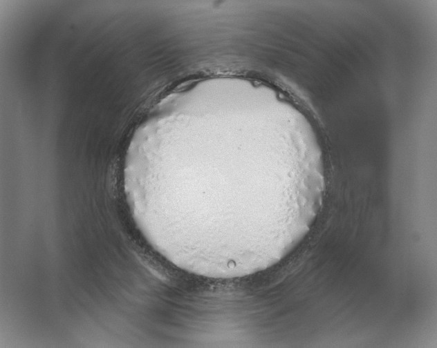 X0000063450065200602171910